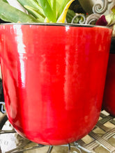 Load image into Gallery viewer, Small Rounded Modern Style Ceramic Planter Red with Black Edge and Interior