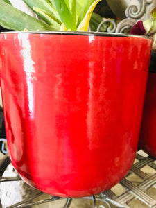 Small Rounded Modern Style Ceramic Planter Red with Black Edge and Interior