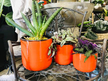 Load image into Gallery viewer, Large Rounded Crackled Glazed Orange and Black Ceramic Planter