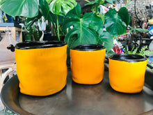 Load image into Gallery viewer, Medium Crumpled Look Modern Style Ceramic Planter | Mustard Yellow with Black Edge | Crackle Glaze