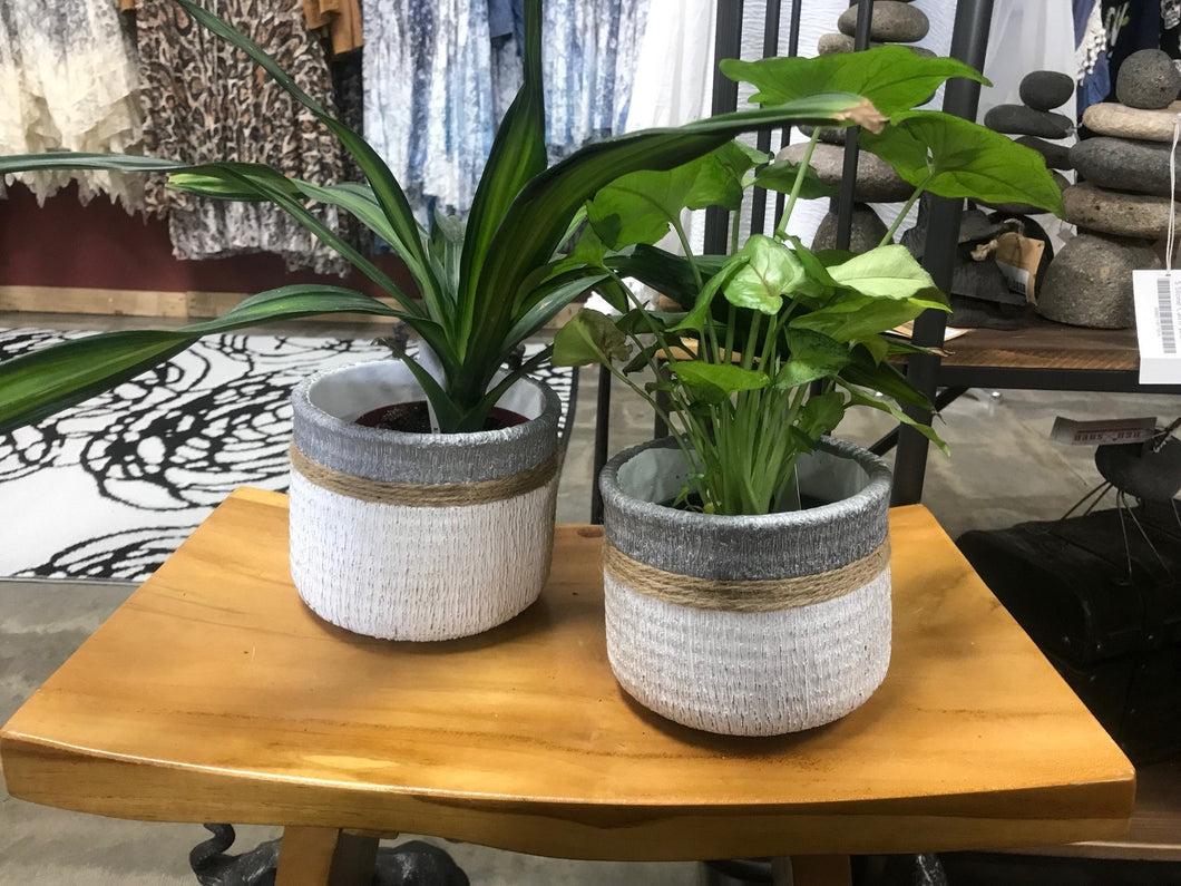 White indoor planter jute accent house plant succulents pot  5