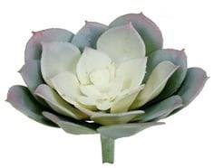 Faux Succulent Pink Green | Decorative Succulent Plant Stem | HZ34