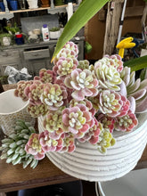Load image into Gallery viewer, Faux succulent pick green and pink flocked | decorative succulent plant stem | hz174