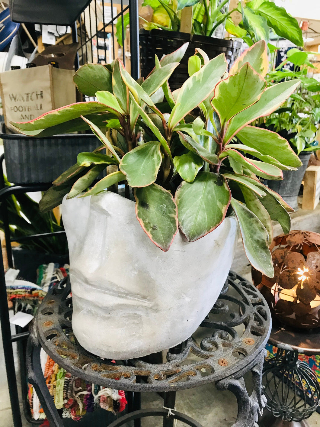 Extra large head face planter pot concrete Indoor or Outdoor