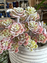 Load image into Gallery viewer, Faux succulent pick green and pink flocked | decorative succulent plant stem | hz174