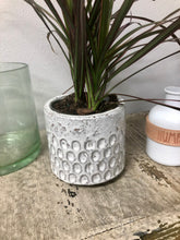 Load image into Gallery viewer, Small White Textured planter | ceramic glazed 4.5&quot; | succulents, cactus, house plants