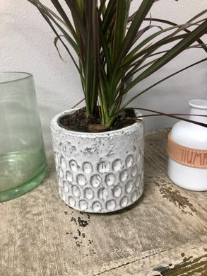 Small White Unique Thumbprint Textured Design Ceramic planter