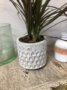 Small White Textured planter | ceramic glazed 4.5" | succulents, cactus, house plants
