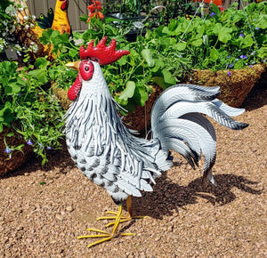 Roosters -  Large metal  - Amazing + details Garden Décor | rooster statue | Chicken Statue White speckled