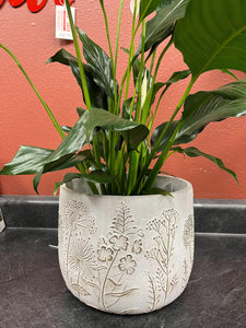 Cement Embossed Wildflower Design planter pot |  Large 7" tall | Nature Inspired