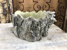 Load image into Gallery viewer, 6&quot; Small Tree Stump Planter with Mushrooms Nature Inspired