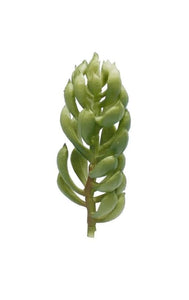 Faux succulent flocked pick green stem  decorative succulent plant stem hz158
