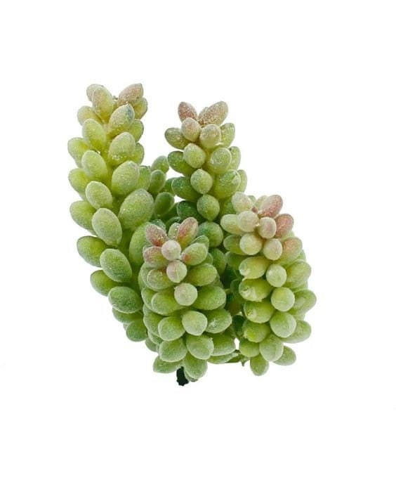 Faux succulent pick flocked green  | decorative succulent plant stem | hz215