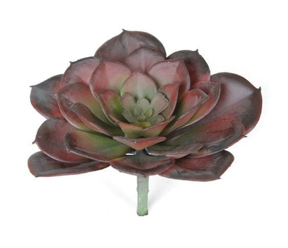 succulent pink stem Faux succulent pink green | decorative succulent plant stem