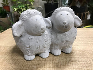 Unique Sheep Cement Indoor or Outdoor Planter Pot for succulents or House plants