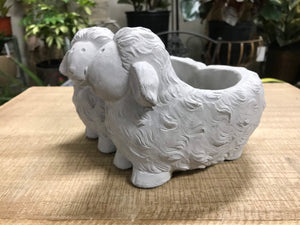 Unique Sheep Cement Indoor or Outdoor Planter Pot for succulents or House plants