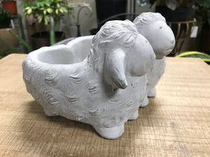 Unique Sheep Cement Indoor or Outdoor Planter Pot for succulents or House plants