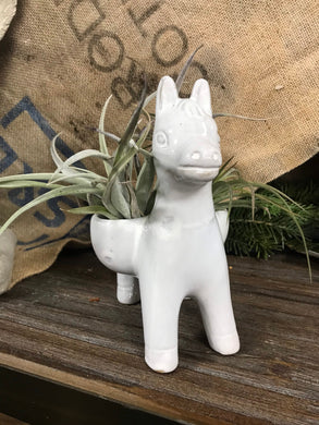 Small ceramic succulent pot Donkey Planter No drainage