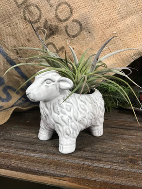 Sheep Lamb Mini Glazed Ceramic Planter indoor Pot Ideal for Succulents