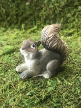 Load image into Gallery viewer, Miniature Gray Squirrel to complete your Fairy Garden| Sold Individually