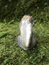 Load image into Gallery viewer, Miniature Gray Squirrel to complete your Fairy Garden| Sold Individually