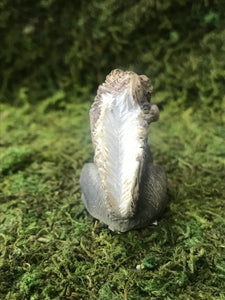 Miniature Gray Squirrel to complete your Fairy Garden| Sold Individually