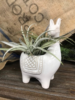 Llama Planter Small Ceramic flower pot for succulents