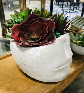 Face Succulent Cement Head Pot Planter 5" tall x 6"