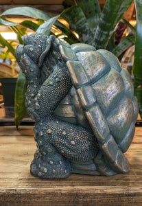 Turtle adorable indoor outdoor decor unique tortoise  turtle lover's gift