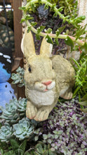 Load image into Gallery viewer, Bunny Rabbit Hare Crouching  lifelike resin indoor outdoor   Bunny Rabbit Lover&#39;s Gift