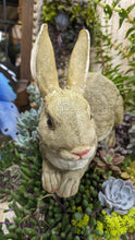 Load image into Gallery viewer, Bunny Rabbit Hare Crouching  lifelike resin indoor outdoor   Bunny Rabbit Lover&#39;s Gift