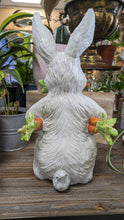 Load image into Gallery viewer, Bunny Rabbit Hare resin indoor outdoor   Bunny Rabbit Lover&#39;s Gift