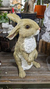 Bunny Rabbit Hare Standing  lifelike resin indoor outdoor   Bunny Rabbit Lover's Gift