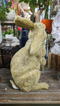 Load image into Gallery viewer, Bunny Rabbit Hare Lifelike Resin indoor outdoor   Bunny Rabbit Lover&#39;s Gift