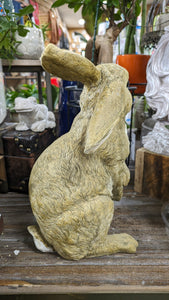 Bunny Rabbit Hare Lifelike Resin indoor outdoor   Bunny Rabbit Lover's Gift