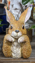 Load image into Gallery viewer, Easter Bunny Rabbit Hare Bust Lifelike Quality Resin Indoor Outdoor Home Decor