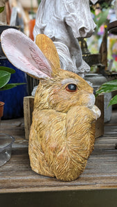 Easter Bunny Rabbit Hare Bust Lifelike Quality Resin Indoor Outdoor Home Decor
