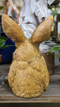 Load image into Gallery viewer, Bunny Rabbit Hare Bust  lifelike resin indoor outdoor   Bunny Rabbit Lover&#39;s Gift