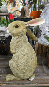 Bunny Rabbit Hare Standing  lifelike resin indoor outdoor   Bunny Rabbit Lover's Gift