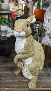 Bunny Rabbit Hare Standing  lifelike resin indoor outdoor   Bunny Rabbit Lover's Gift