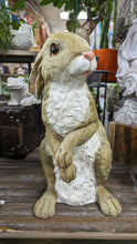 Load image into Gallery viewer, Bunny Rabbit Hare Standing  lifelike resin indoor outdoor   Bunny Rabbit Lover&#39;s Gift