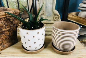Planter pots 4" tall chocolate brown with stripes or polka dots with attached saucer succulents, cactus, house plants