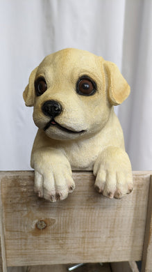 Yellow Lab Puppy Dog Lifelike Resin Indoor Outdoor Railing, Fence or Pot Hangers  | Yellow Lab Puppy Dog lover's gift