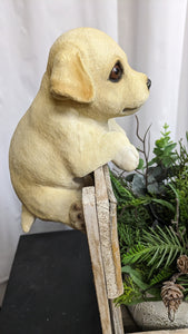 Yellow Lab Puppy Dog Lifelike Resin Indoor Outdoor Railing, Fence or Pot Hangers  | Yellow Lab Puppy Dog lover's gift
