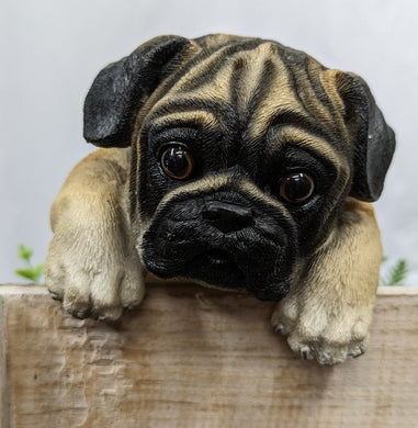Pug puppy dog lifelike resin indoor outdoor railing, fence or pot hangers  | pug puppy dog lover's gift