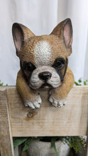 Load image into Gallery viewer, French bulldog puppy dog lifelike resin indoor outdoor railing, fence or pot hangers  | bulldog puppy dog lover&#39;s gift