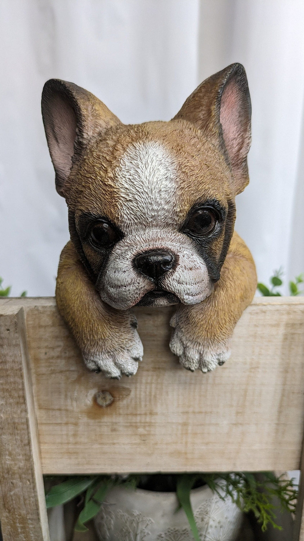 French bulldog puppy dog lifelike resin indoor outdoor railing, fence or pot hangers  | bulldog puppy dog lover's gift