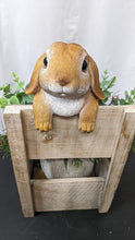 Load image into Gallery viewer, Baby bunny rabbit lifelike resin indoor outdoor railing fence hanger rabbit lover&#39;s gift