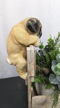 Load image into Gallery viewer, Pug puppy dog lifelike resin indoor outdoor railing, fence or pot hangers  | pug puppy dog lover&#39;s gift