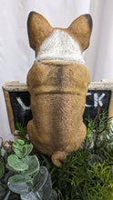 Load image into Gallery viewer, French bulldog puppy dog lifelike resin indoor outdoor railing, fence or pot hangers  | bulldog puppy dog lover&#39;s gift